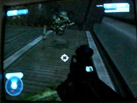 Stekpa maitre nageur