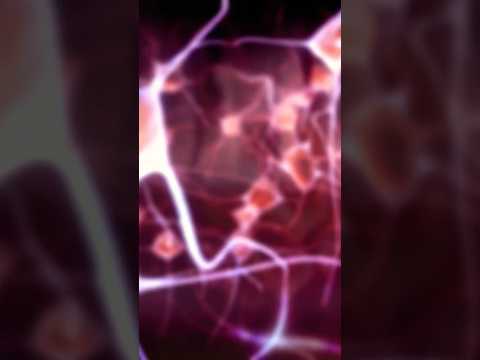 The Psychology of Cravings Explained