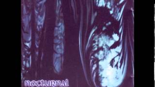 Nocturnal Winds - Spiritdance