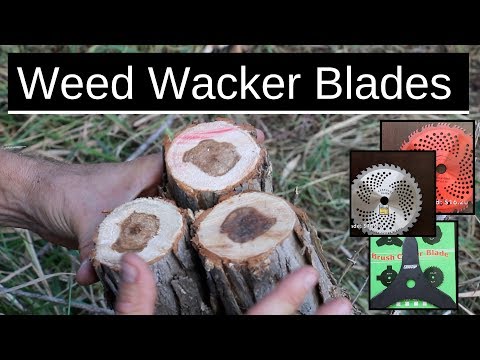 Which Trimmer Brush Blade is Best?  Let's find out!