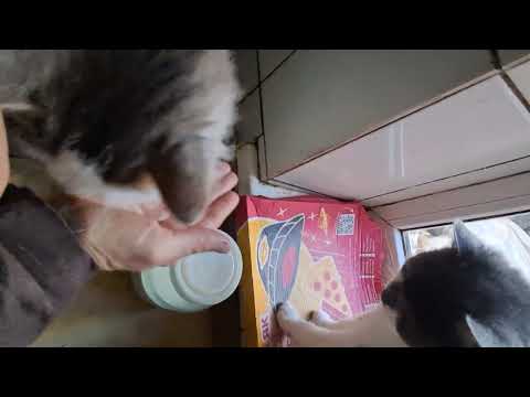 I was wondering that in vain.