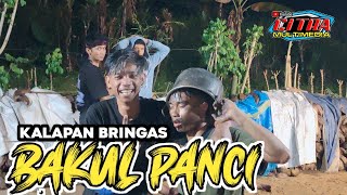 Download lagu JARANAN KIDALAN BRINGAS MENEGANGKAN AJI SETO BUDOYO @NDUCELLCHANNEL mp3 Download lagu JARANAN KIDALAN BRINGAS MENEGANGKAN AJI SETO BUDOYO @NDUCELLCHANNEL mp3