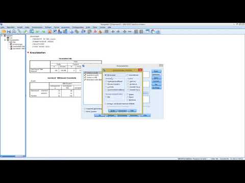 SPSS - Chi Quadrat Test