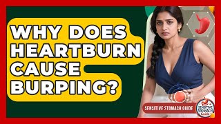 Why Does Heartburn Cause Burping? - Sensitive Stomach Guide