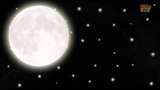 Bedtime Lullaby - Mozart's music for children | Relaxing Mozart Effect | Baby Einstein Sleep Music