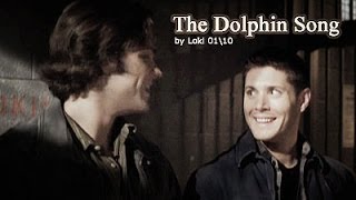 J2 // Dolphin Song