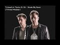 Tritonal vs Tiesto ft. Bt - Break My Slave [Tritonal Mashup]