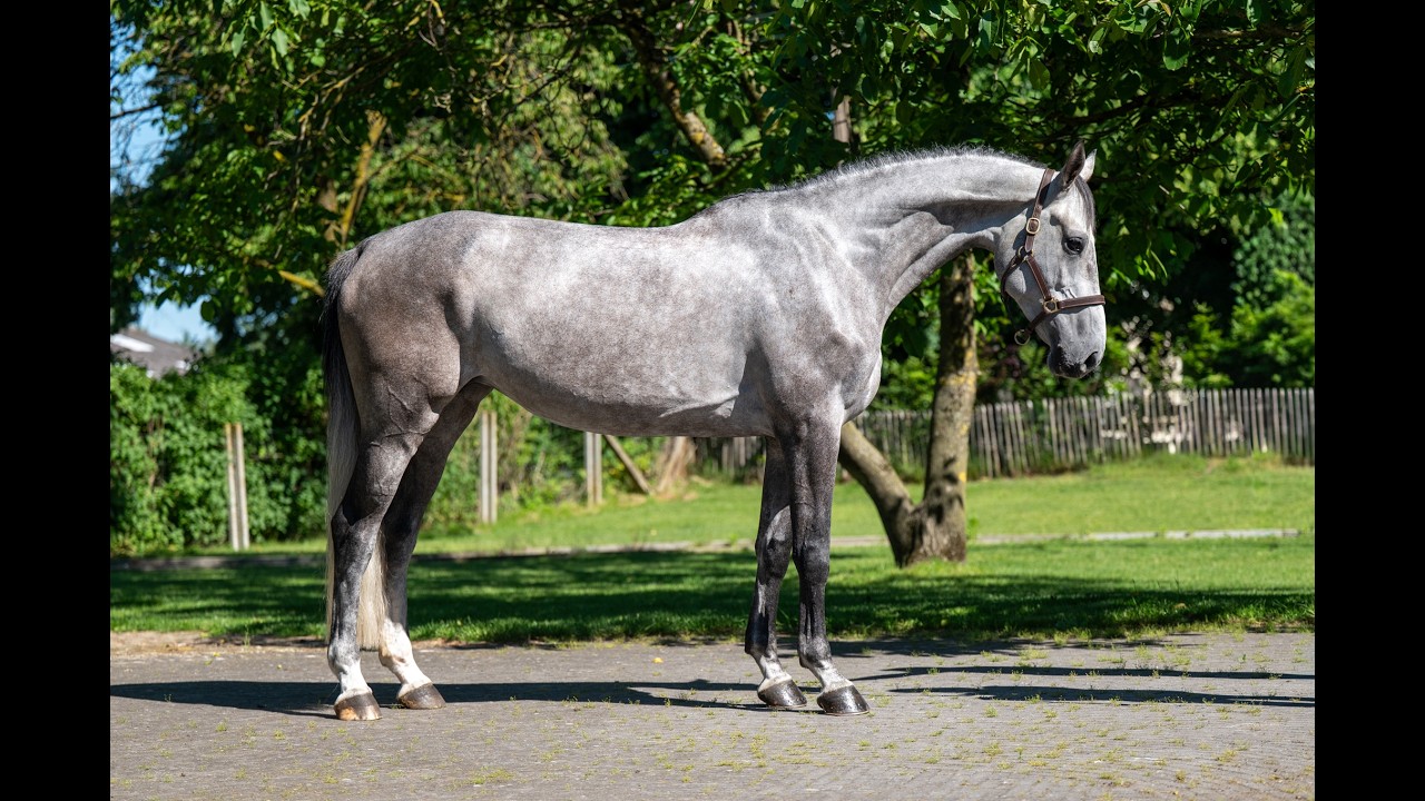 Rentina (NECTAR DES ROCHES x CIGARET JVH Z) video 1
