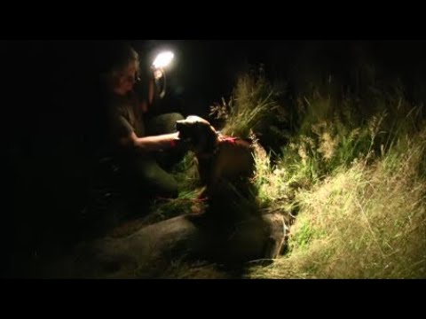 Spotkałem myśliwych - odcinek 140 Bez termo i noktowizora też można upolować dzika