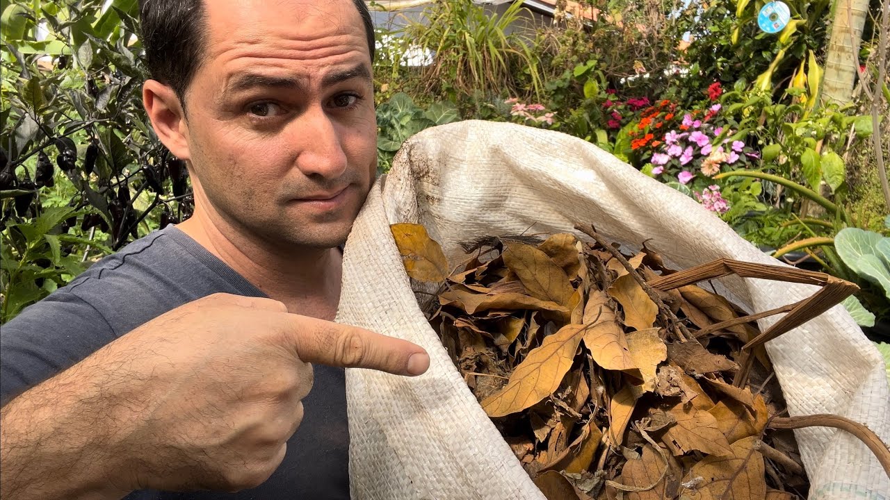 COMPOSTAGEM - O QUE COLOCAR E O QUE NÃO COLOCAR