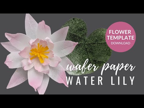 How to make Water Lilly for cake decorating | FREE TEMPLATE | Wafer Paper Tutorial