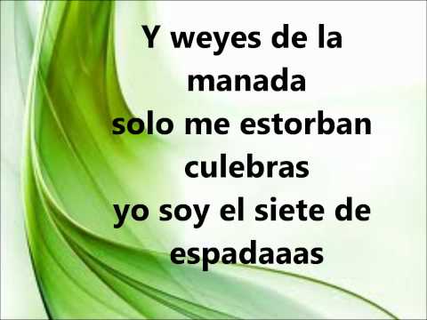 me vale ver gatos bravos - LETRA