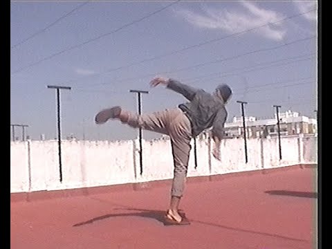 TApe 10: vera fauna y dudas y flores