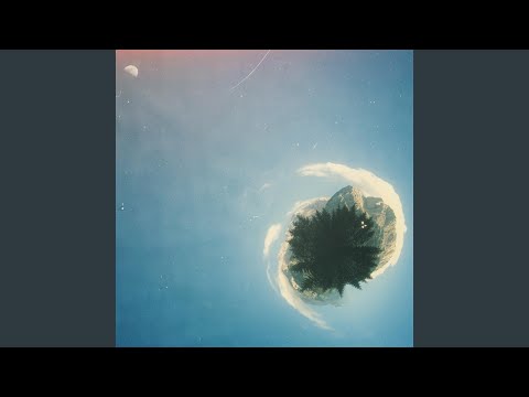 Birds - Greyface