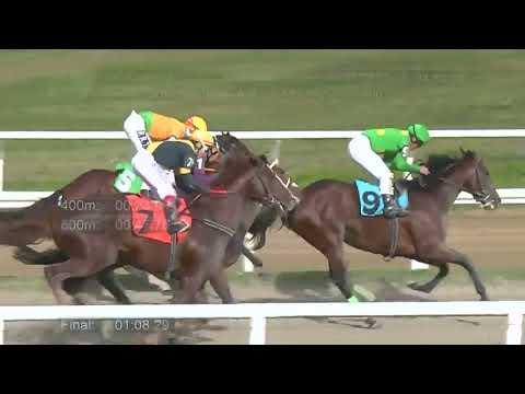 220518 c11 - DILL BLADE - HIPODROMO LAS PIEDRAS