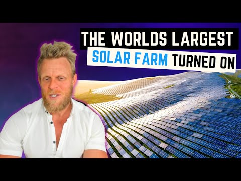 Why the world's largest solar farm has created so much controversy...
