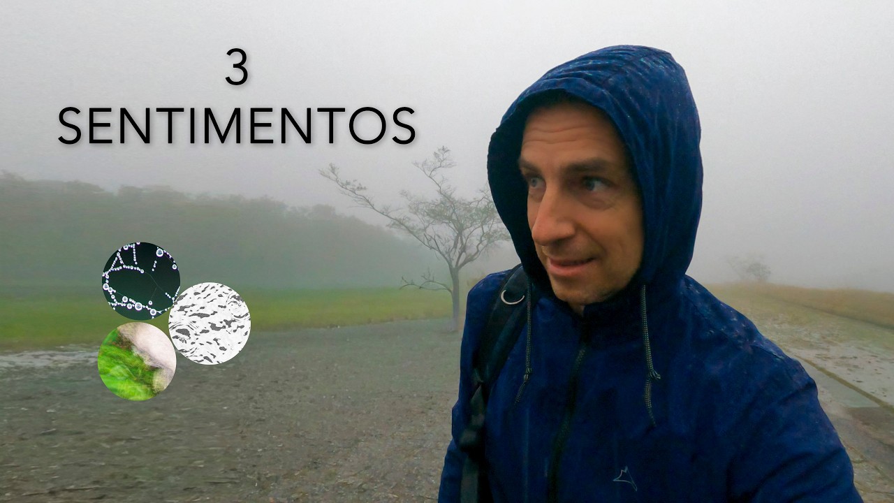 Fotografando 3 sentimentos no parque caminhos do mar