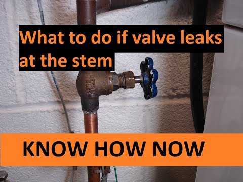 Part of a video titled Fix Shut Off Valve Leaking at Stem - YouTube