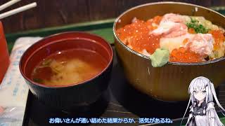 ある意味ネタ要素がある旅動画