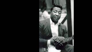 Muddy Waters - Young Fashioned Ways