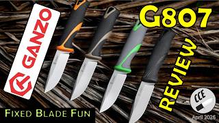 Ganzo G807 #knifereview #budget #fixedblade