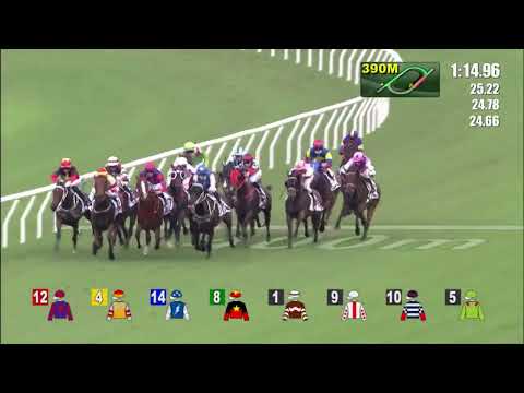 5/6/2022 (729) Super Oasis - A Badel