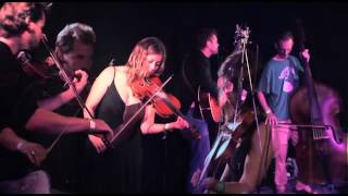 Jez Hellard & The Djukella Orchestra - ByWearyWell-JollyBeggarman-Swallowtail-OurLadyOfTheTallTrees