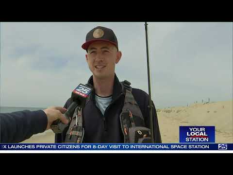 Dissipative Beaches: The Eroding Edge of Coastal Dynamics | Golden Age