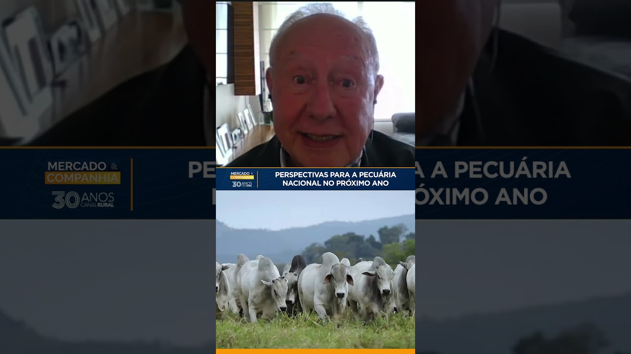 Perspectivas para a pecuária nacional no próximo ano
