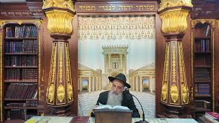 הרב מאיר דוד שמואלי - הלכות שבת סימן רנ"ח