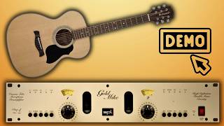 Video thumbnail for SPL Goldmike 9844 - Acoustic Guitar - SAMSON CO2 (No Talking) by Pine Hill Sound Studio