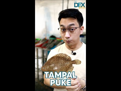 Tampal Puke | Dr. Dex Macalintal