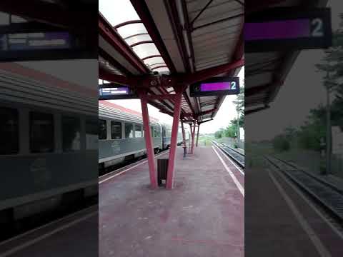 Plecarea Acceleratului de Mangalia din Botosani