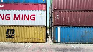 Ship to Shore: Buenos Aires Cruise Ship Port from the Sapphire Princess