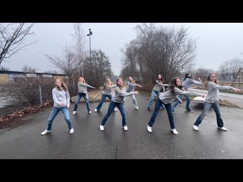 Companiets Showgrupper - SOS