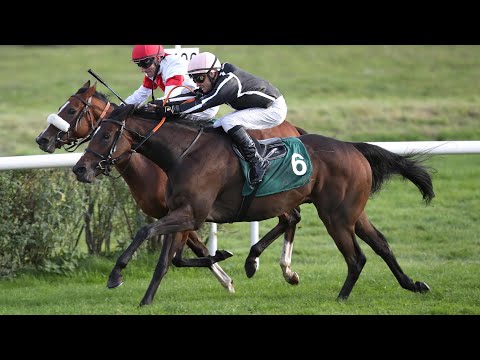 Berlin-Hoppegarten: WETTSTAR.de - 32. Preis der Deutschen Einheit 2022 Sieger: Petit Marin