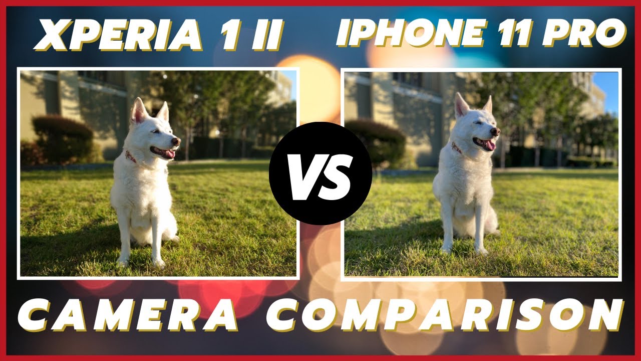 Sony Xperia 1 ii vs iPhone 11 Pro Max Camera Comparison