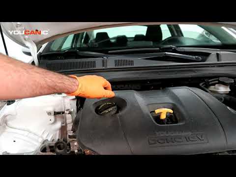 2019-Present Kia Forte Oil Change and Oil Filter Replacement