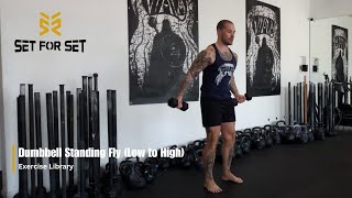 Dumbbell Standing Fly Low to High | SFS Exercise Library