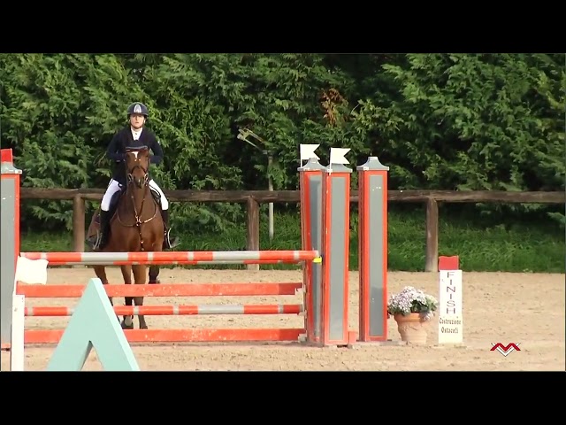 Pony sella francese DISPONIBILE