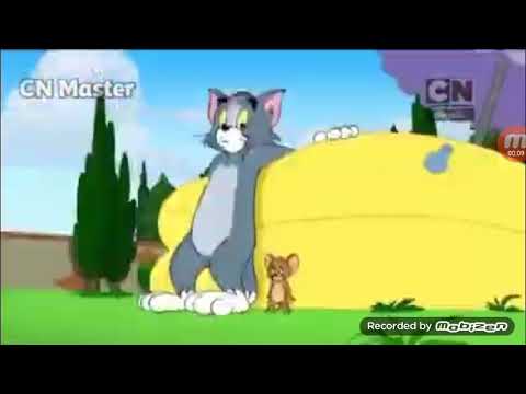 نجم الشهر كرتون نتورك شهرة نوفمبر