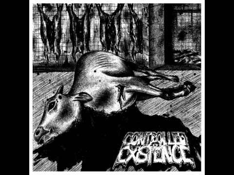 download lagu mp3 mp4 Controlled Existence, download lagu Controlled Existence gratis, unduh video klip Controlled Existence