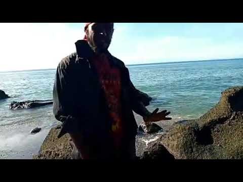 Miaru Mori 2021 (video cover) Png Music 🇵🇬