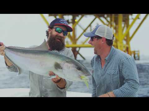 on Fly: Oliver White