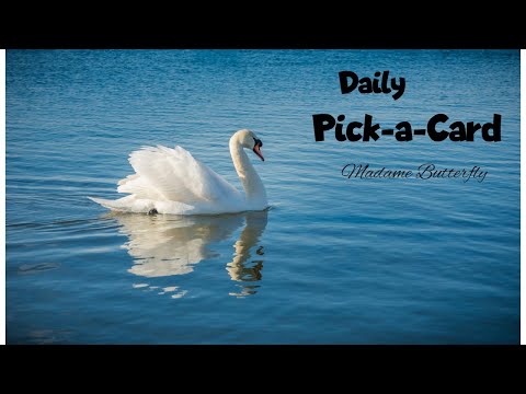 🎴🔮🌈🧁Daily Pick-a-Card Reading~ Monday 23rd January 2023 (Timeless)