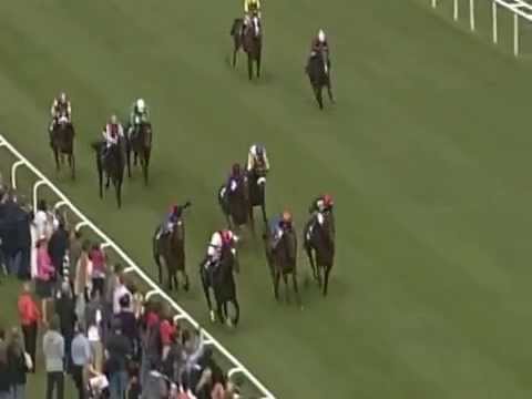 Baden-Baden, Preis des Casino Baden-Baden, 26.8.2012 - Sieger: Araldo