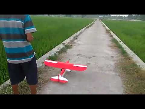 Ft simple cub maiden flight