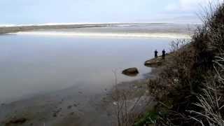 preview picture of video 'Tsunami originating near Japan hits the Mad River, Arcata, Northern California'