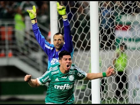 Palmeiras 2 x 1 Fluminense 14/06/2015, gols, Melhores momentos, Brasileirão 2015