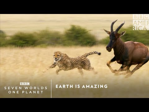 Earth Is Amazing | Seven Worlds, One Planet | Saturdays at 9pm | BBC America